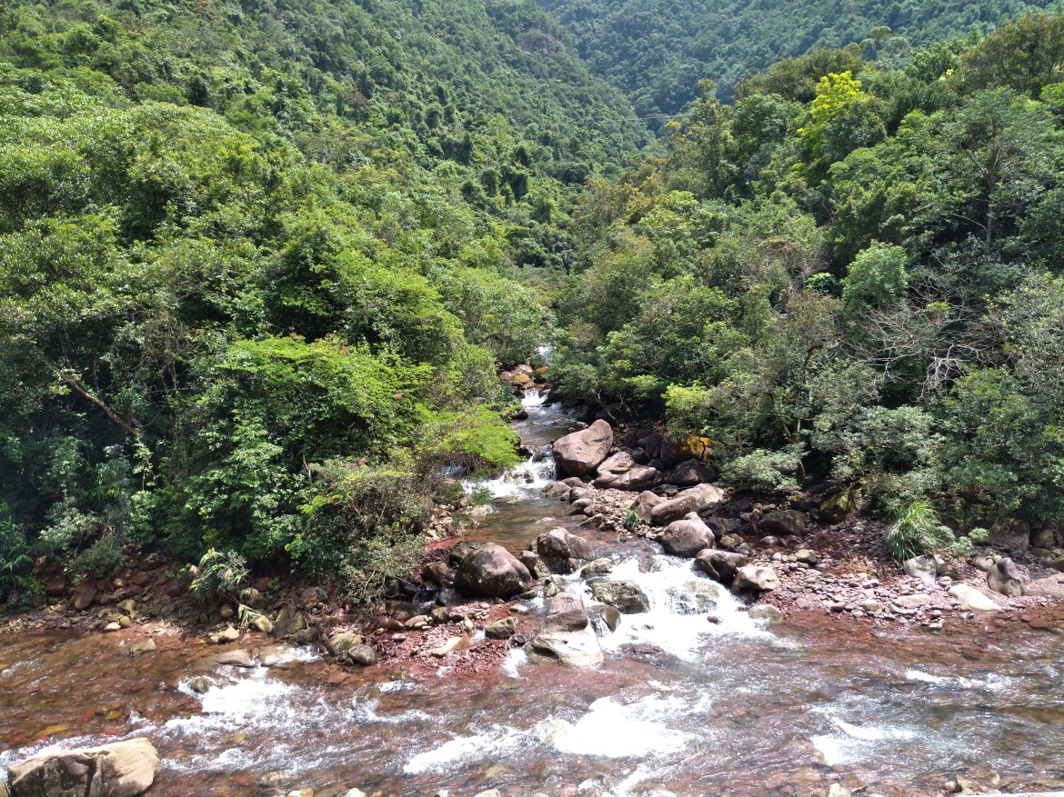 深山老林怪事多吗 深山老林真的有高人吗